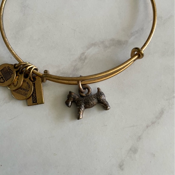 Alex and Ani Monopoly Dog Charm Bracelet - Picture 2 of 7